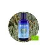 Hidrolato de Santolina