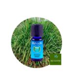 Aceite Esencial de Hierba azul Africana