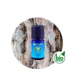 Aceite Esencial de Sándalo