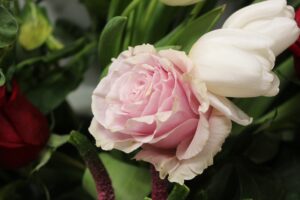 Aceite Esencial de Rosa