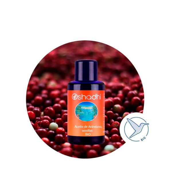 Aceite Vegetal de Arándano - Imagen 1