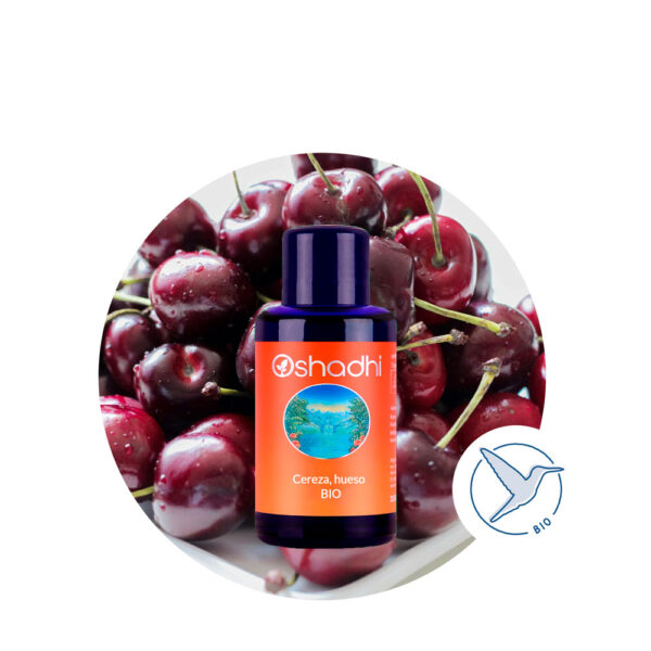Cereza---hueso Aceite Vegetal de Cereza, hueso - Imagen 1