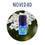 Aceite Esencial de Cabo de Mayo