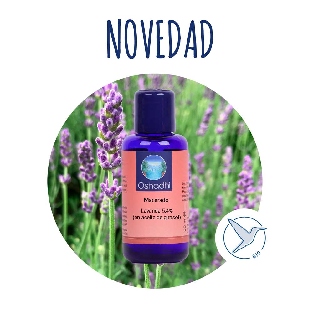 macerado-lavanda- Macerado de Lavanda 5,4% (en aceite de girasol) - Imagen 1