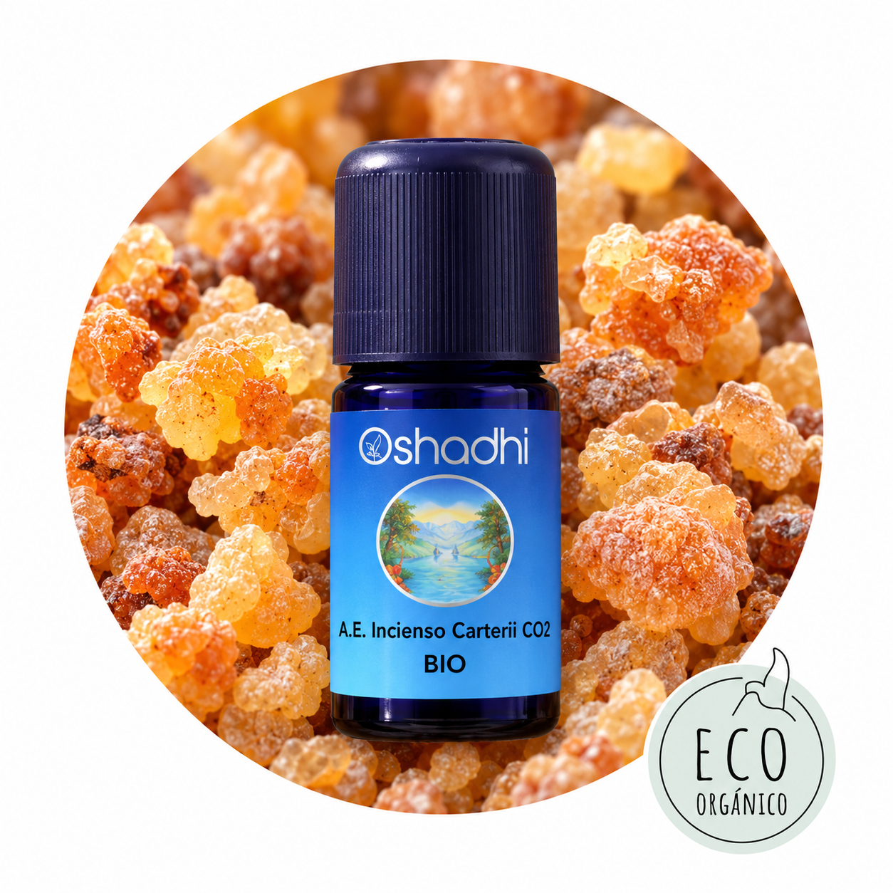 Aceite esencial de incienso ecológico Incienso CO2 Orgánico - Imagen 1