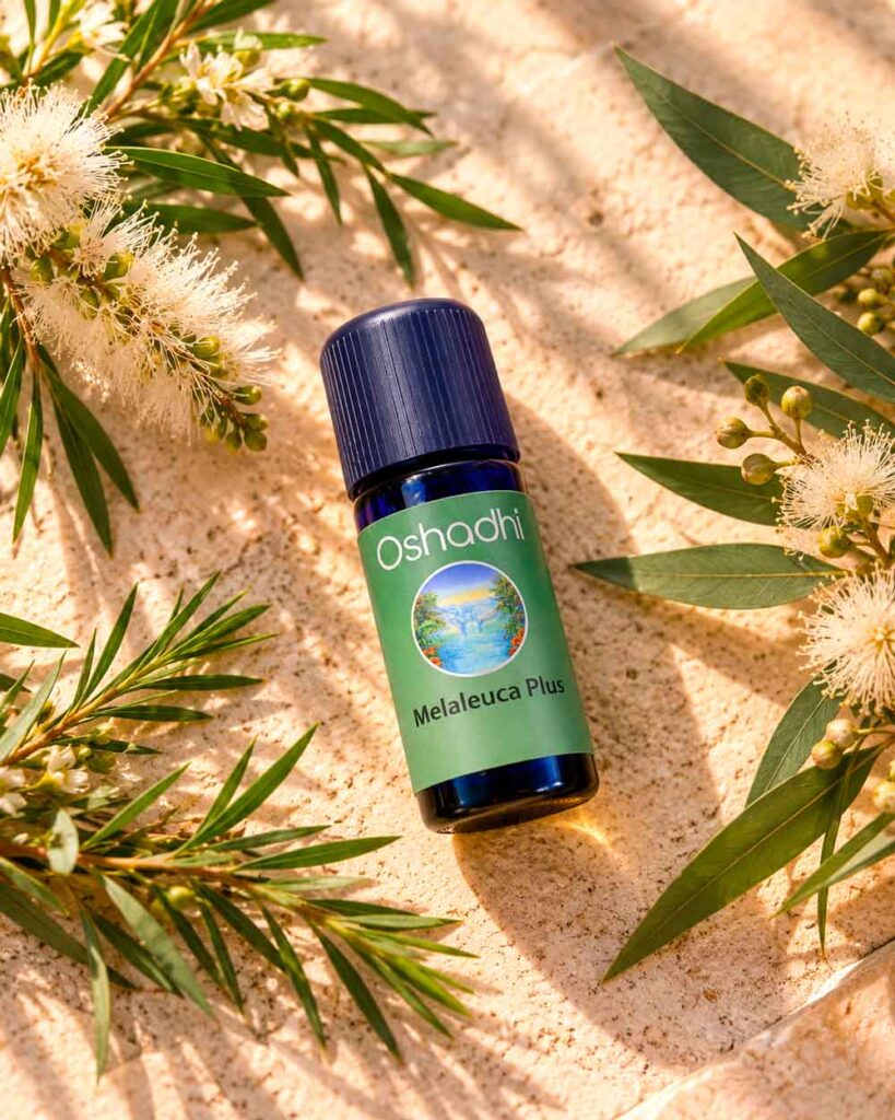 Sinergia-Melaleuca-Plus-op